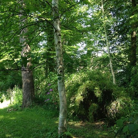 Domaine De Chantemerles Φονταινεμπλώ Εξωτερικό φωτογραφία