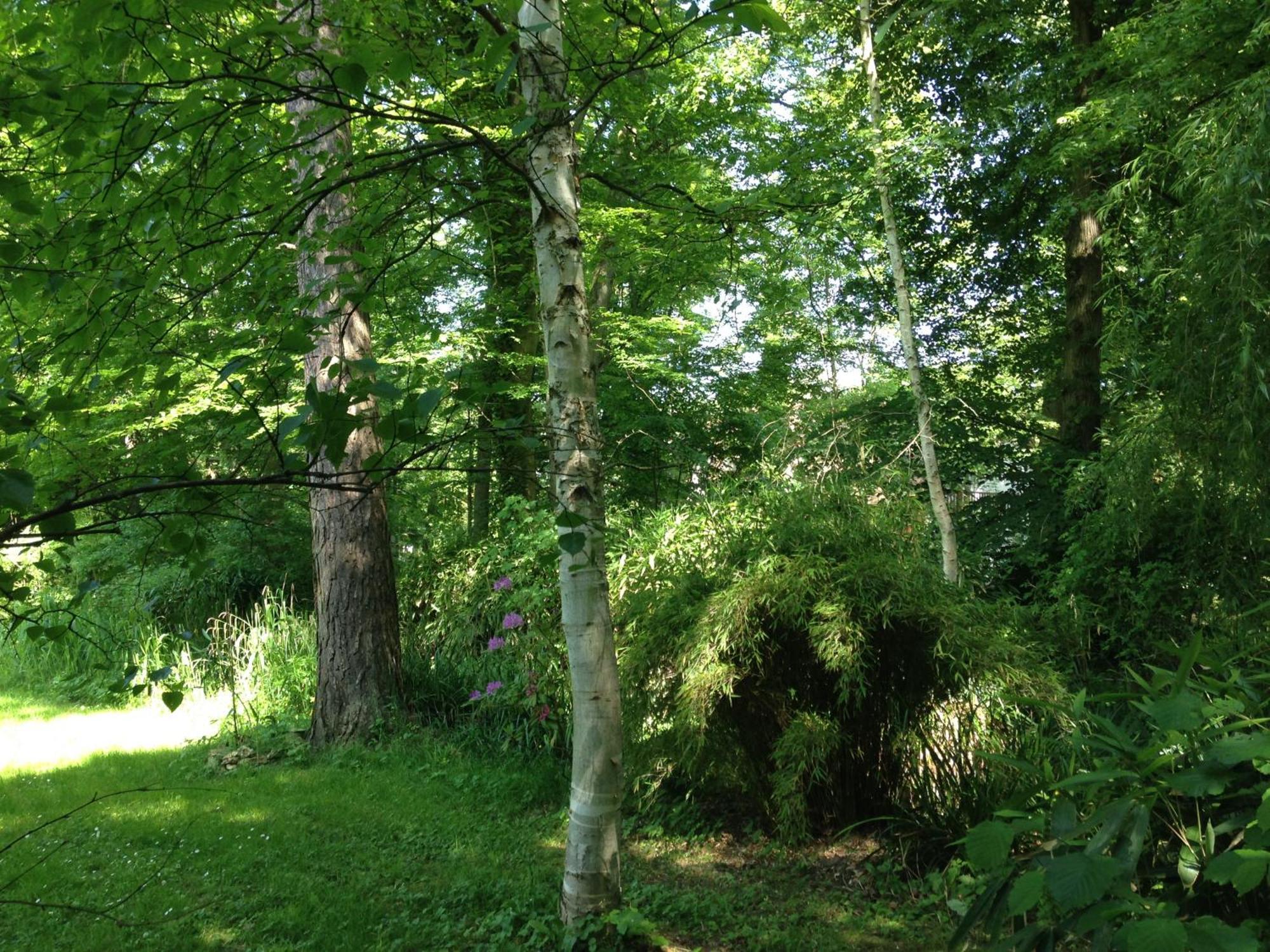 Domaine De Chantemerles Φονταινεμπλώ Εξωτερικό φωτογραφία